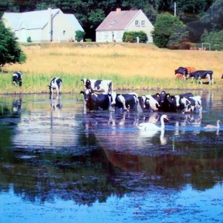 Engelsholm Bed & Breakfast Bredsten  外观 照片
